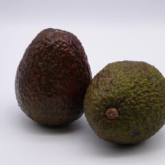 Avocado
