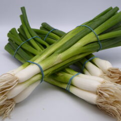 Spring Onion