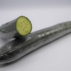 Cucumber