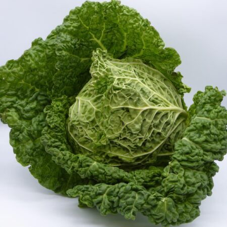 Cabbage - Savoy