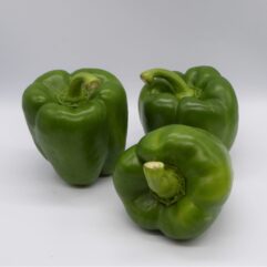 Pepper - Green