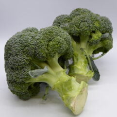 Broccoli