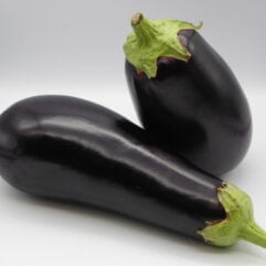 Aubergine