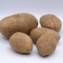 Potato - Maris Piper