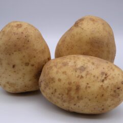 Potato - Baking