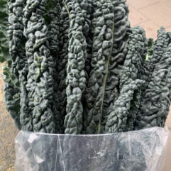 Kale - Black