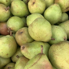 Pear - Comice