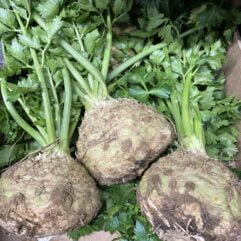Celeriac